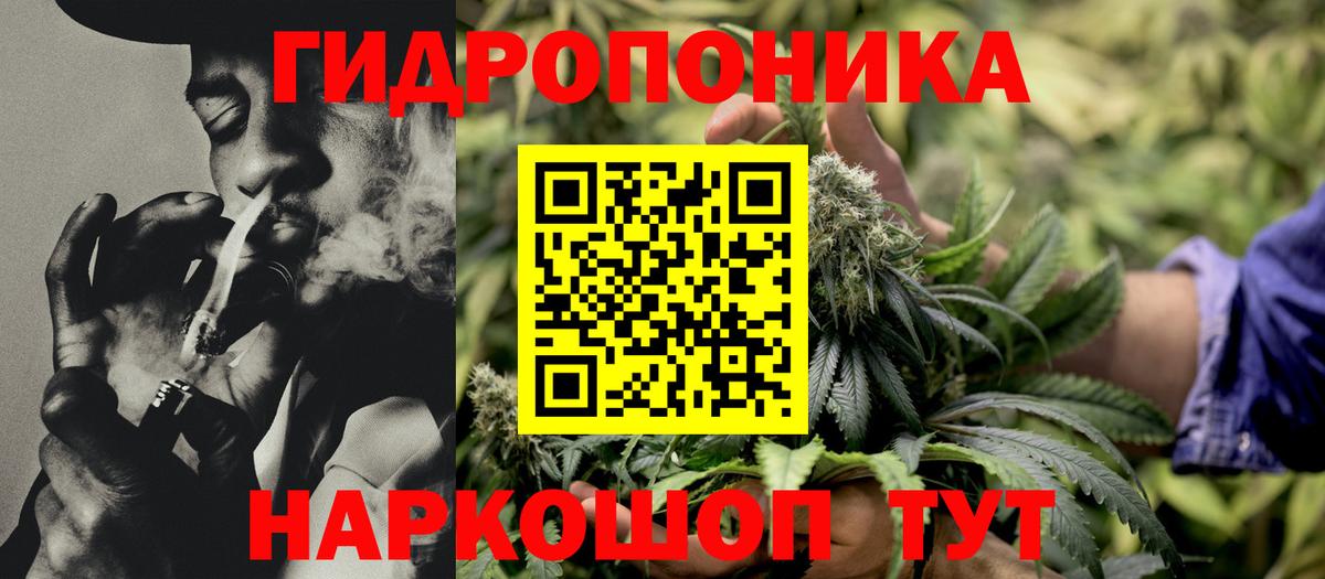 Каннабис THC 21%  Конопля индика  Вход с VPN  Семёнов  Канабис ГИДРОПОН 